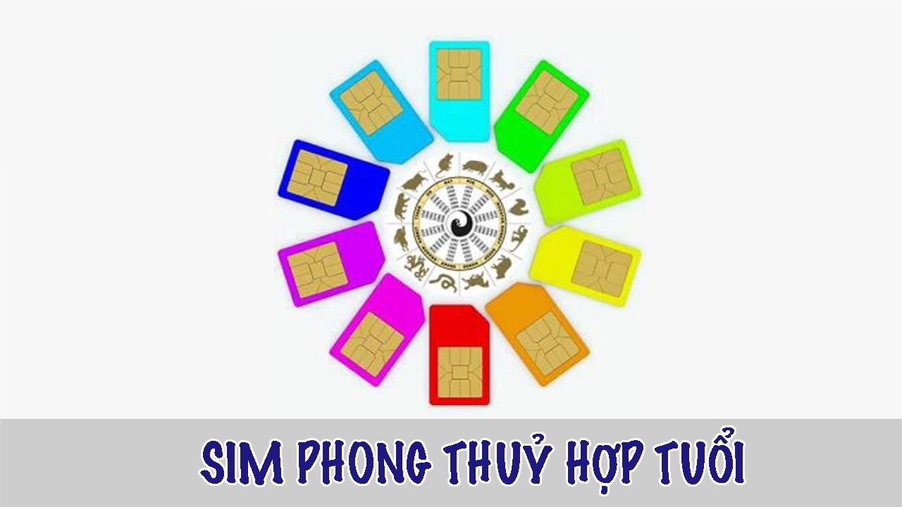 Chọn sim phong thủy hợp tuổi