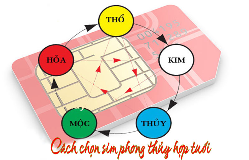 Chọn sim phong thủy hợp tuổi