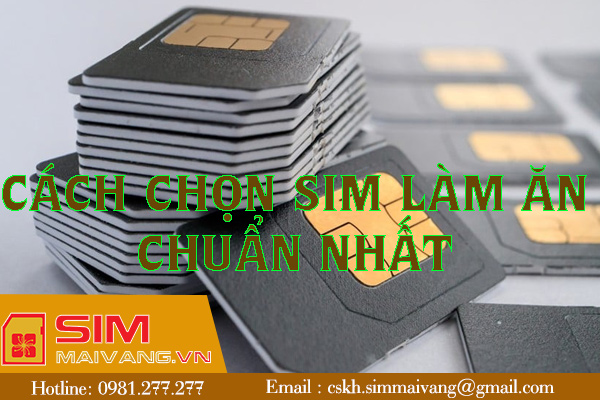 Cách chọn sim làm ăn hợp tuổi phát tài phát lộc nhanh