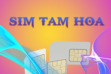 Sim tam hoa đẹp​​​ mang lại nhiều lợi ích