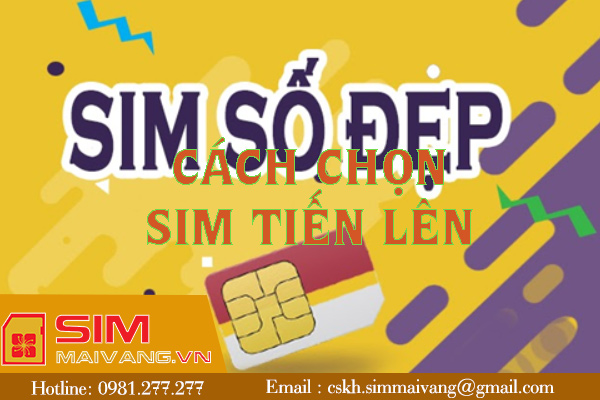 Mách bạn một số cách chọn sim tiến lên và ý nghĩa