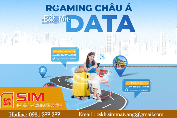 Cách đăng ký dịch vụ Roaming Vinaphone chuẩn xác nhất