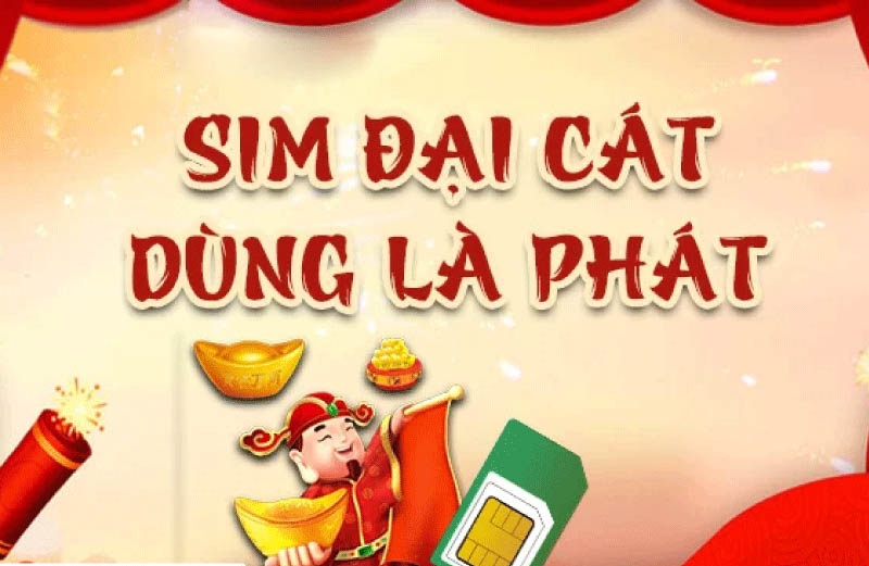 Sim đại cát dùng là phát