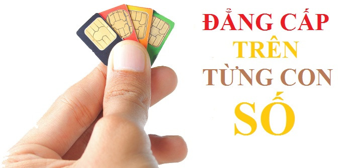 ý nghĩa đầu sim số 0335