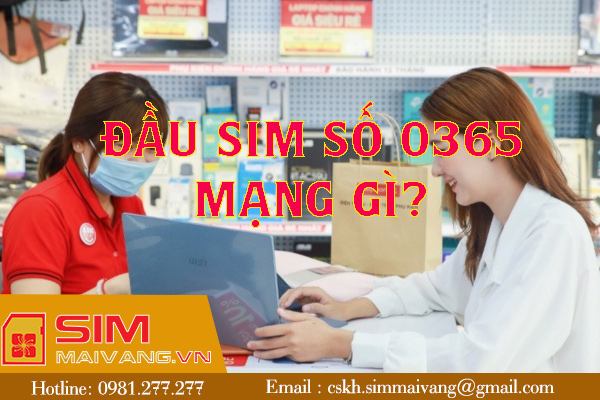 Đầu sim số 0365 thuộc mạng gì và có ý nghĩa như thế nào?