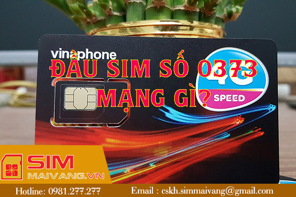 Đầu sim số 0373 thuộc mạng gì và có ý nghĩa như thế nào?