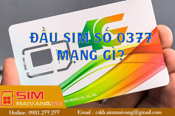 Đầu sim số 0377 thuộc mạng gì và có ý nghĩa như thế nào?