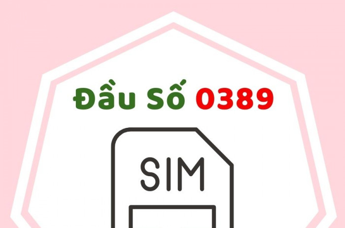 Ý nghĩa đặc biệt của đầu sim số 0389?