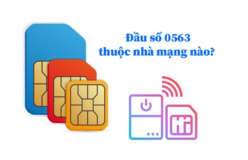 Đầu sim 0563