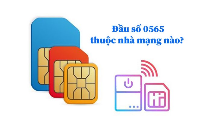 Đầu số 0565 là mạng Vietnamobile