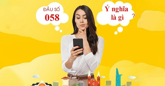 Ý nghĩa đầu sim 058