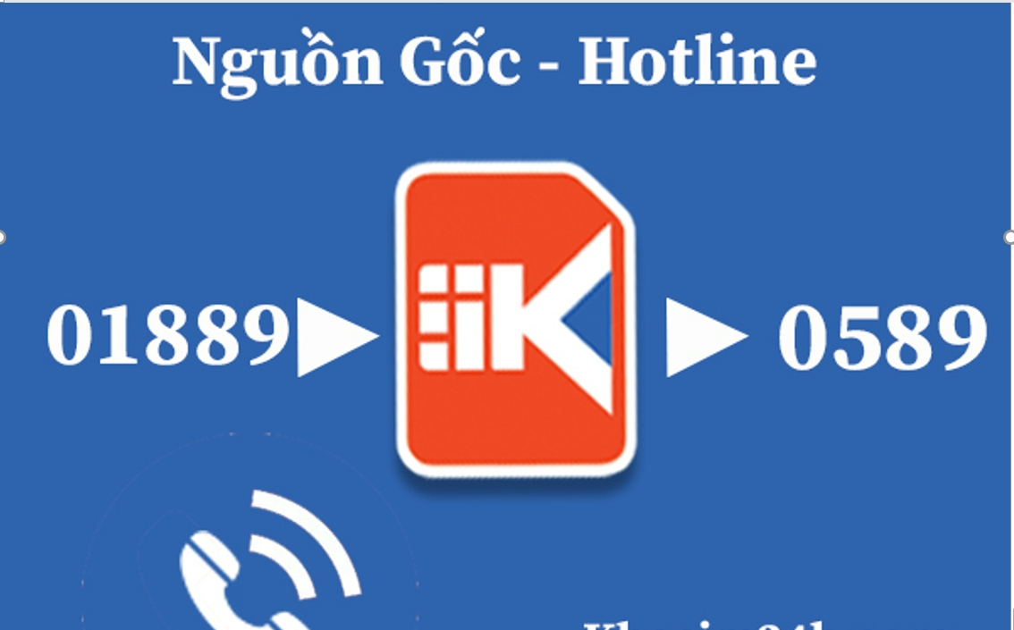 Đầu sim số 0589 là mạng gì?