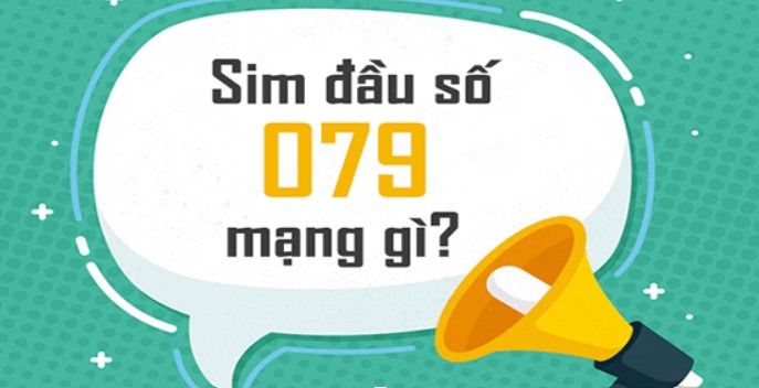 Đầu sim số 079 là mạng gì?