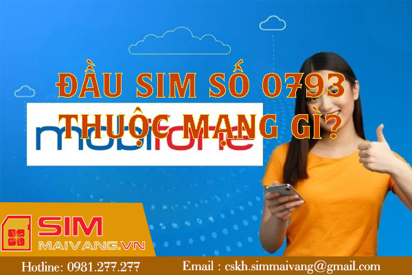 Đầu sim số 0793 thuộc mạng gì và có ý nghĩa như thế nào?