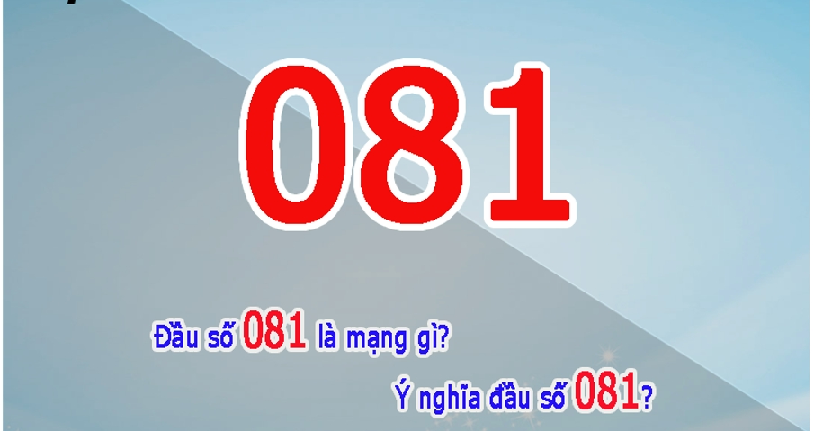 Đầu sim số 081 là mạng gì? Giải mã ý nghĩa đầu sim 081