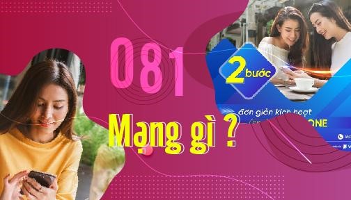 Đầu sim số 081 là mạng gì?