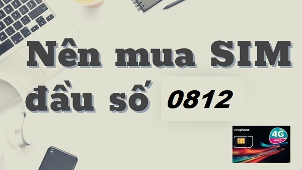 Đầu sim số 0812