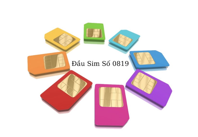 Đầu Sim Số 0819 là mạng gì?