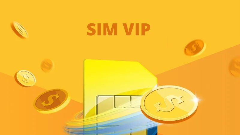 Ý nghĩa của từng con số trong đầu sim số 0838