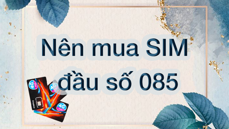 Ý nghĩa từng con số trong đầu số 085