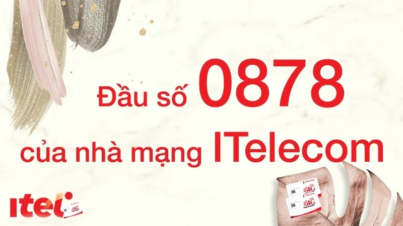 Sim đầu số 0878 mạng gì?