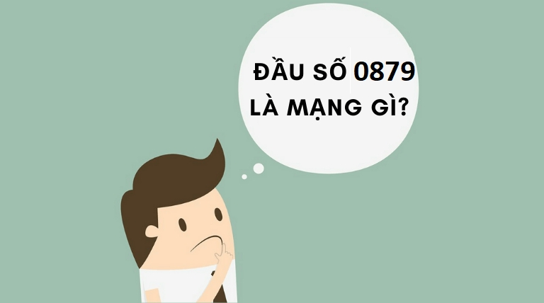 Sim đầu số 0879 mạng gì?