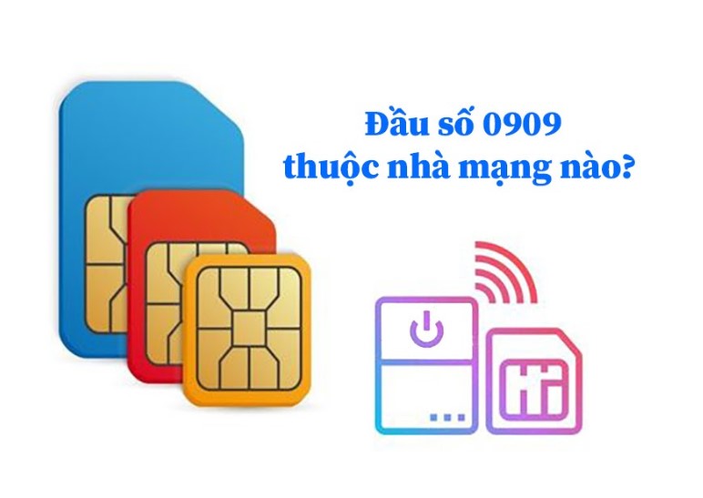 Đầu sim 0909