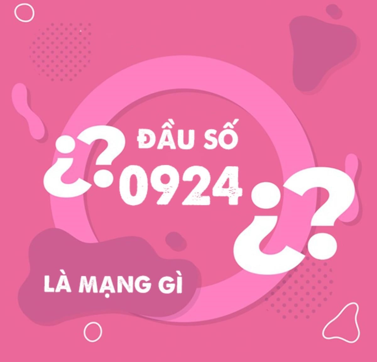 Đầu sim số 0924 là mạng gì?