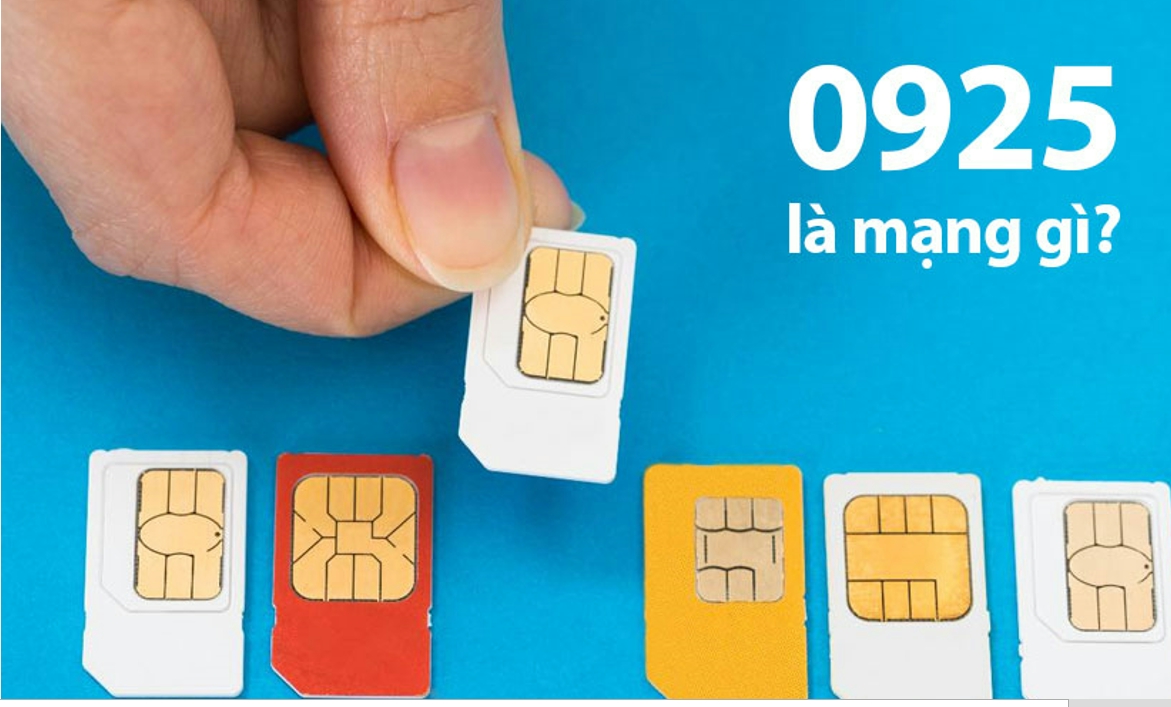 Đầu sim số 0925 là mạng gì?