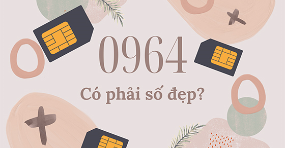 Ý nghĩa đặc biệt của đầu sim 0946