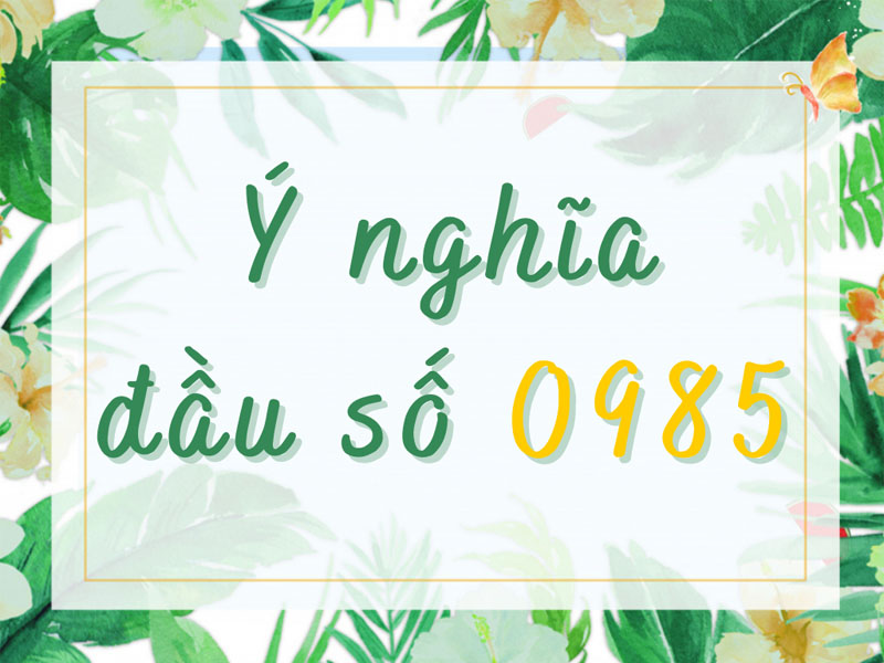 Ý nghĩa của đầu số 0985