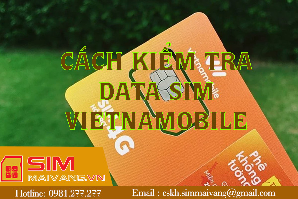 Hướng dẫn kiểm tra data sim Vietnamobile nhanh chóng