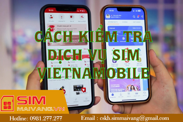 ​​​​​​​Hướng dẫn kiểm tra dịch vụ sim Vietnamobile dể dàng