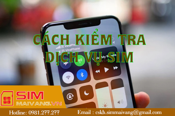 Hướng dẫn kiểm tra dịch vụ sim đơn giản chính xác