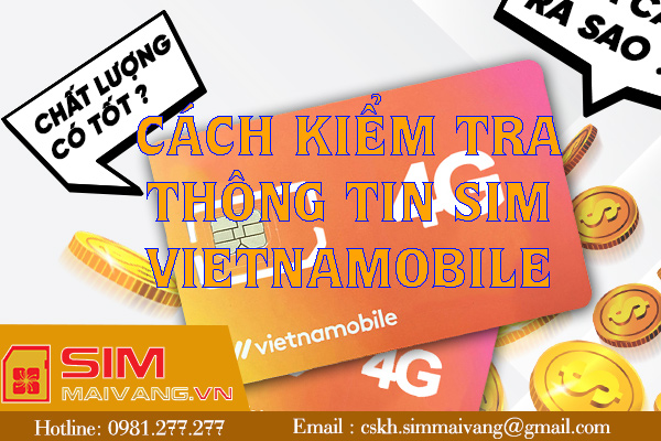 Mách bạn cách kiểm tra thông tin Sim Vietnamobile đơn giản