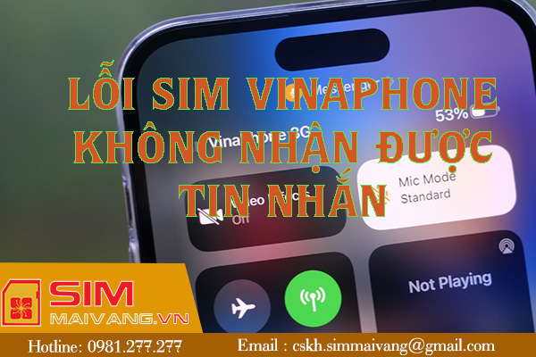 Phải làm gì khi lỗi sim vinaphone không nhận được tin nhắn?