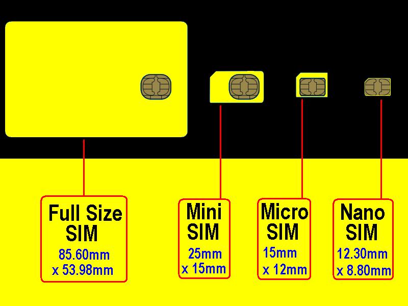 phân loại phôi sim
