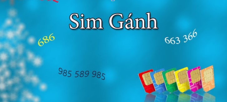 Sim gánh kép mang lại nhiều may mắn, phúc lộc