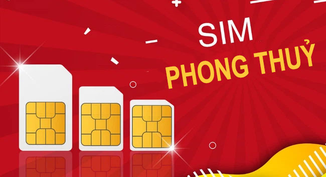 Sim hợp mệnh Thổ phong thủy