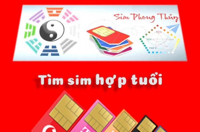 Sim hợp mệnh chủ nhân