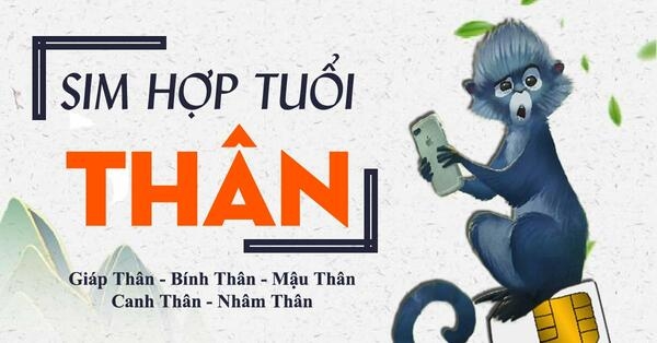 Cách chọn mua sim phong thuỷ hợp người tuổi Thân