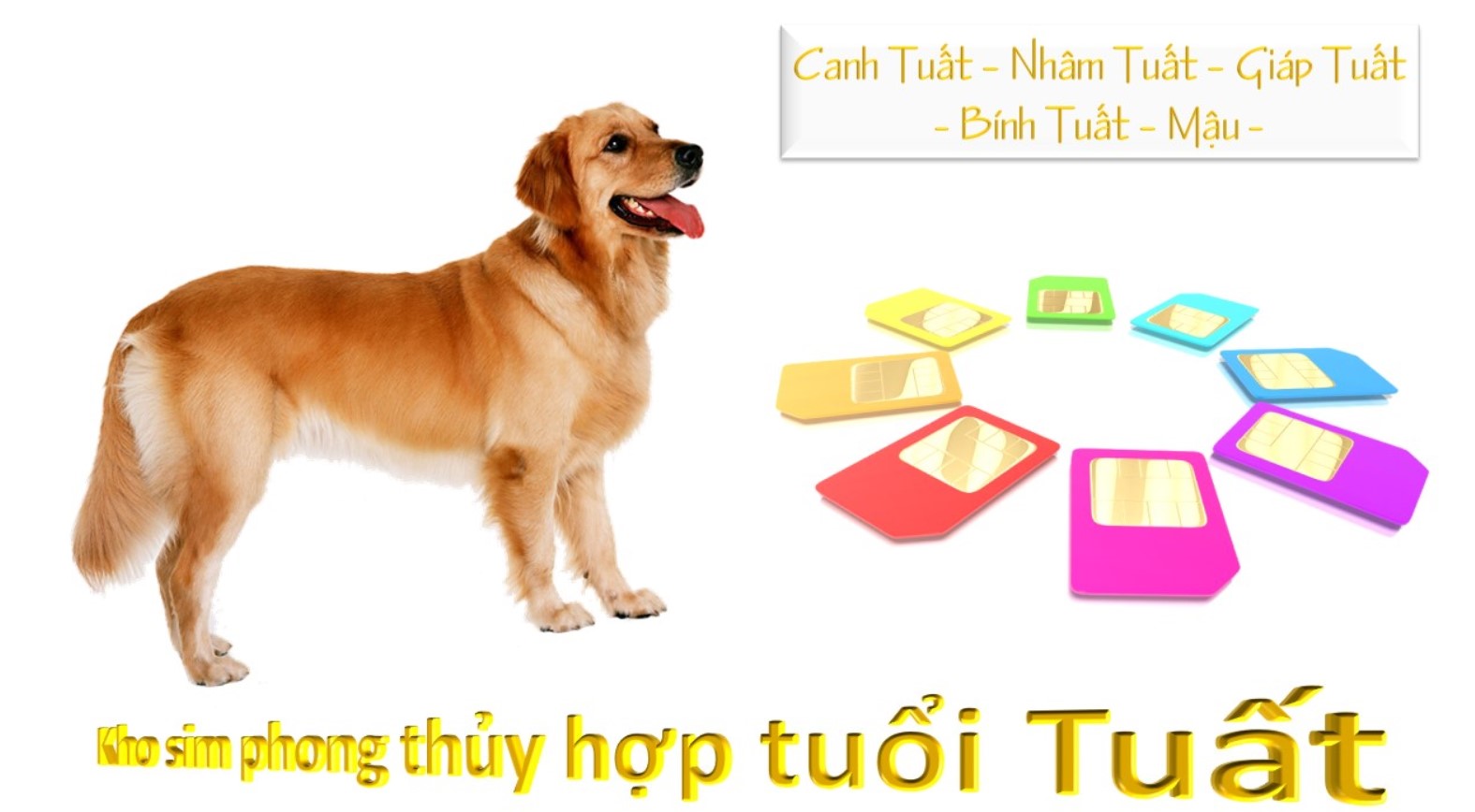 Lưu ý chọn sim hợp tuổi tuất để giúp sự nghiệp đi lên