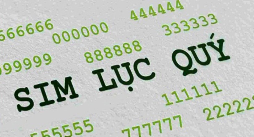 Sim lục quý được săn đón nồng nhiệt 