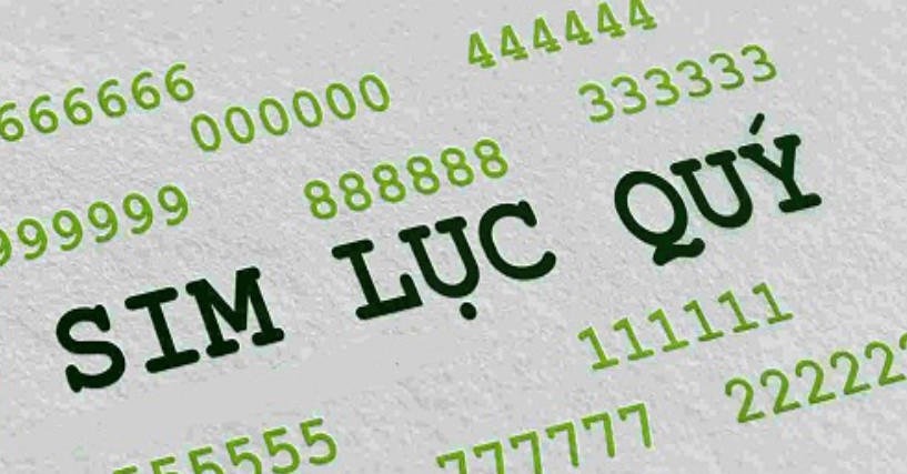 Sim lục quý và giá trị mang lại