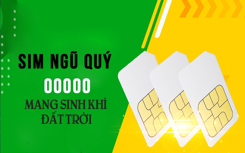 Ý nghĩa của sim ngũ quý 00000