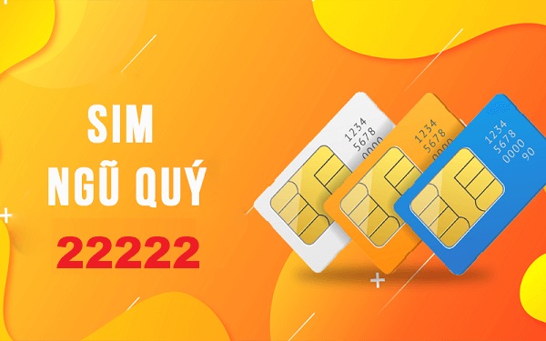 Ý nghĩa của sim ngũ quý 22222