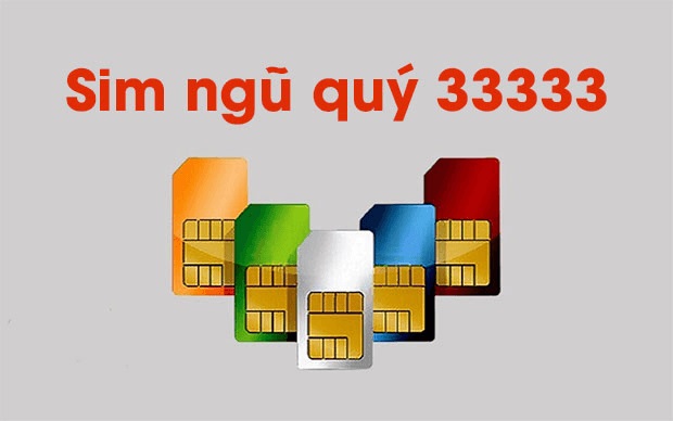 Sim ngũ quý 33333