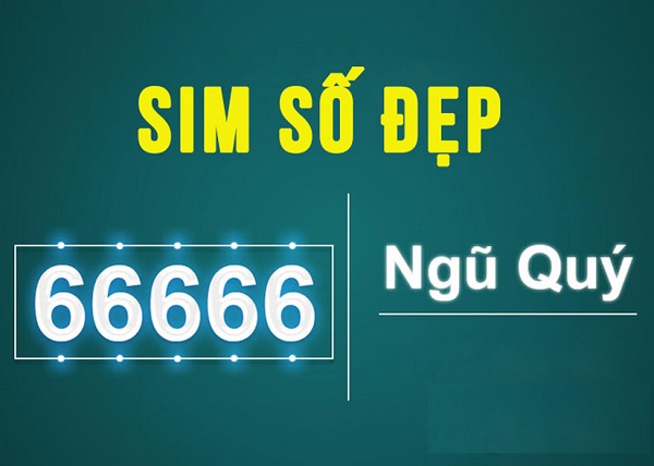 Sim số đẹp 66666