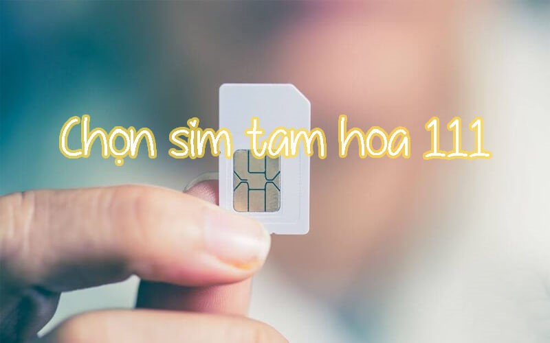 Chọn sim tam hoa 111 theo giá