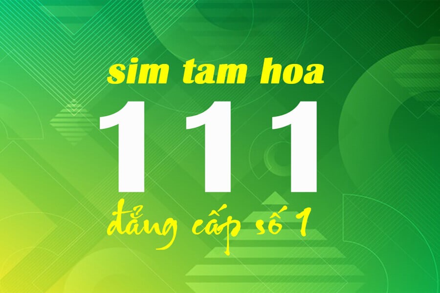 Sim tam hoa 111 có ý nghĩa gì?